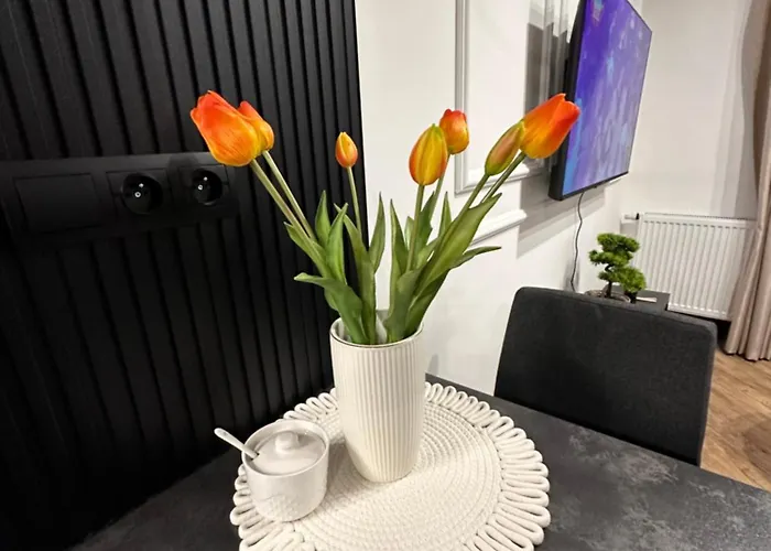 Z Ogrodem - Paderewskiego 22 Bartoszyce